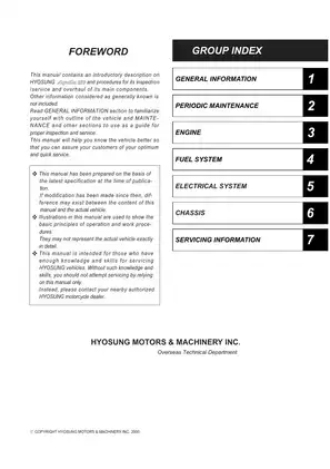 Hyosung Algoxilia 250 Service Manual - Comprehensive Vehicle Maintenance & Repair Guide Preview image 2