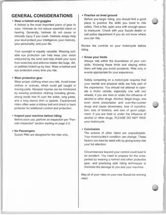 Suzuki RM250 Owner's Service Manual - Digital Download Preview image 4