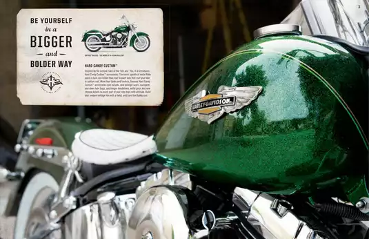 2013 Harley-Davidson Touring repair manual Preview image 4