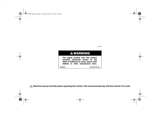 2009-2013 Yamaha FZ6R, FZ6 Fazer owner´s + service manual Preview image 2