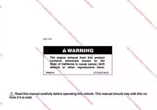 Yamaha YFMS50DE/YFMS50DHE ATV Owner's Manual - 2013 Edition Preview image 2