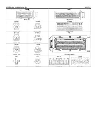 Comprehensive A/C Control System Manual for Auto (SD971 Series) Preview image 5